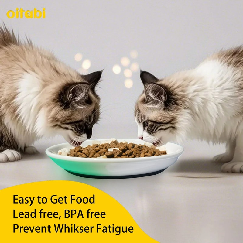 Ceramic AntiWhisker Fatigue Shallow Cat Bowl Set 5