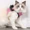 AntiEscape Soft Breathable Small Cat Harness Leash Set 9