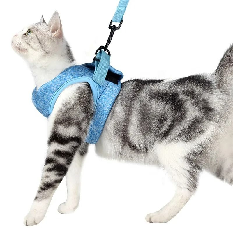 AntiEscape Soft Breathable Small Cat Harness Leash Set 7