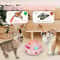 4in1 Smart Interactive Feline Entertainment Station 4