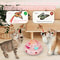 4in1 Smart Interactive Feline Entertainment Station 4