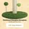 Tropical Palm Tree Cat Scratching Post With Interactive Toys 4