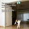Smart Hanging Door Electric AutoSwing Cat Toy 3