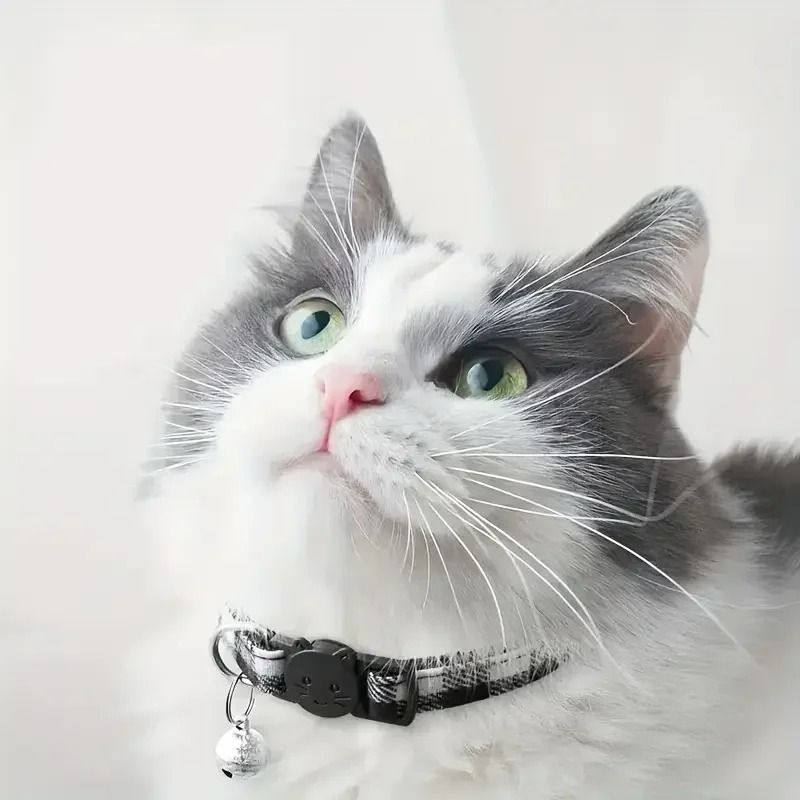 Personalized Plaid Breakaway Safety Cat Collar 5