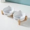 NonSlip Ceramic Double Feeding Station 6