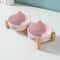 NonSlip Ceramic Double Feeding Station 8