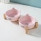 NonSlip Ceramic Double Feeding Station 8