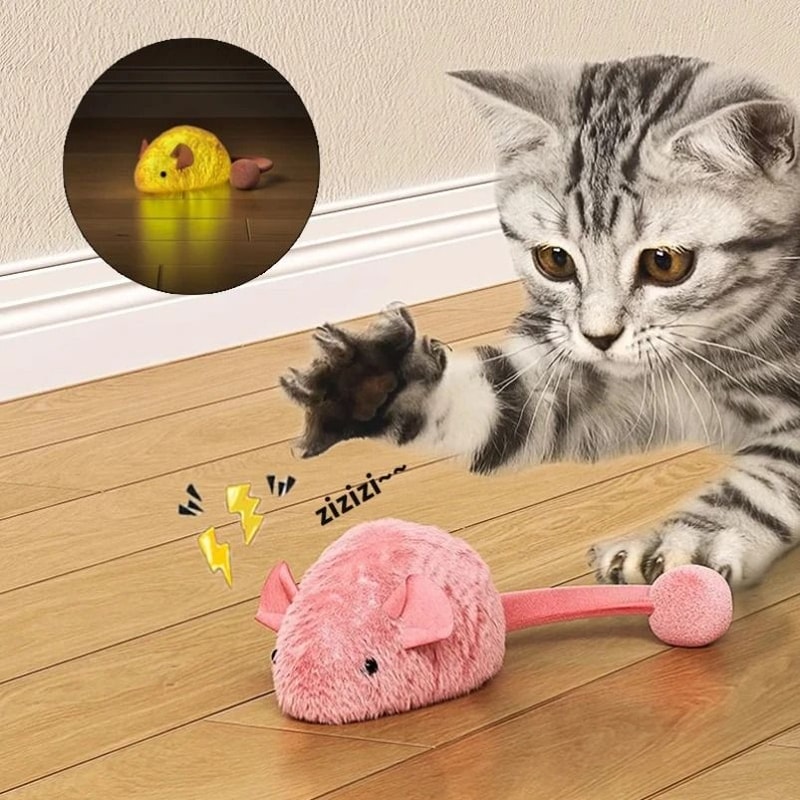 Interactive Luminous Mouse Plush Cat Chew Toy 0