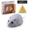 Infrared Remote Control Interactive RC Mouse 6