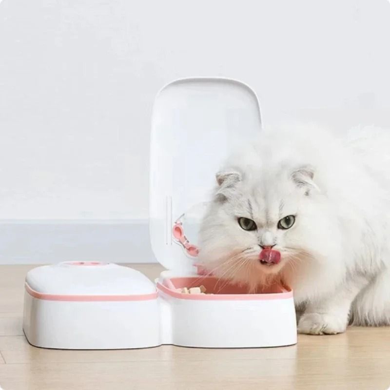 Timed Automatic Pet Feeder Waterer Set 3