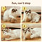 Sisal Interactive Cat Scratching Ball 3