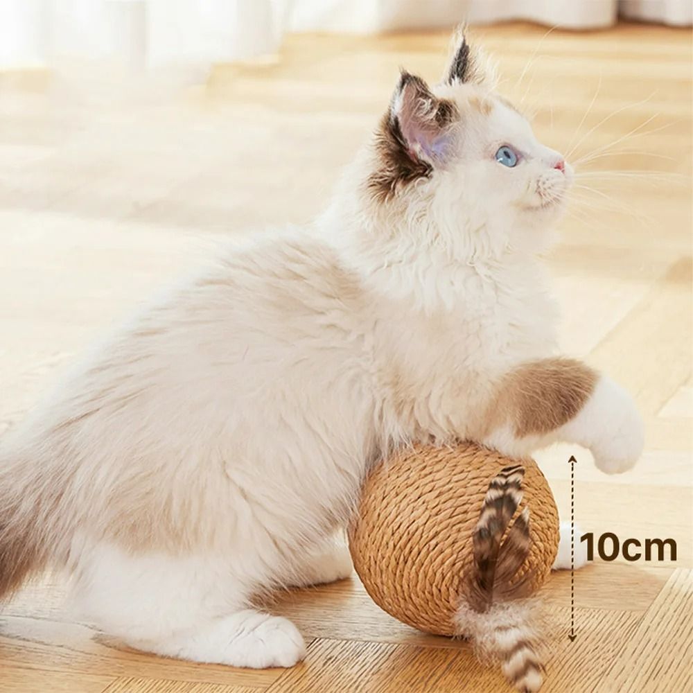 Sisal Interactive Cat Scratching Ball 5