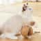 Sisal Interactive Cat Scratching Ball 5