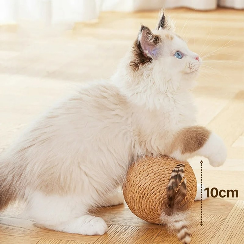 Sisal Interactive Cat Scratching Ball 5