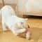 Sisal Interactive Cat Scratching Ball 6