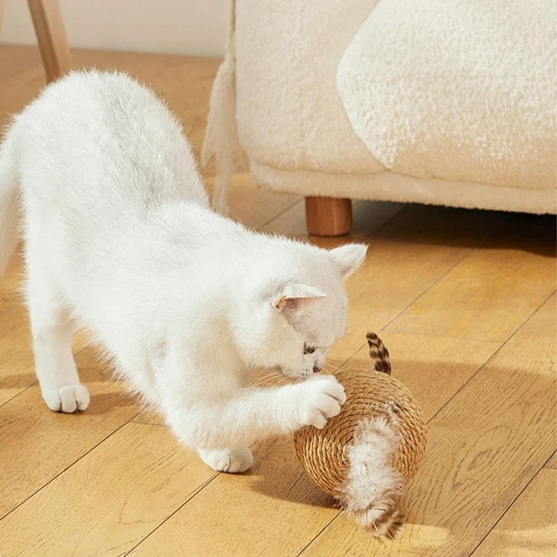 Sisal Interactive Cat Scratching Ball 6
