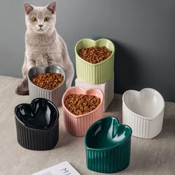 slanted elevated ceramic cat bowl with stand