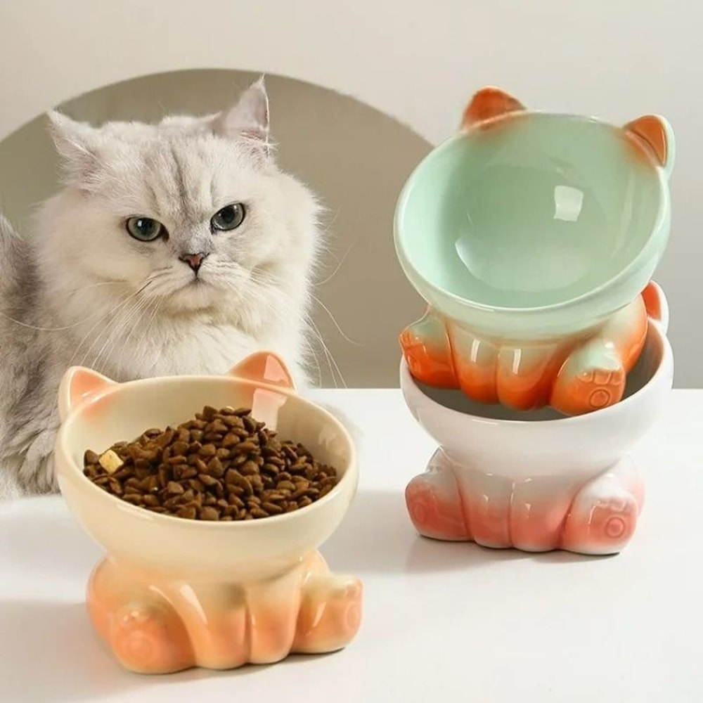 Ergonomic Diagonal Ceramic Pet Bowl 4
