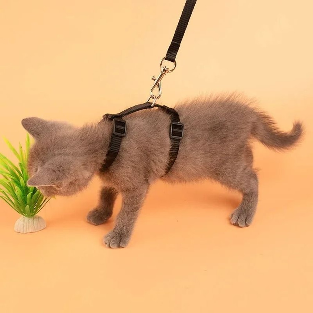 EscapeProof HShape Cat Puppy Harness Set 3
