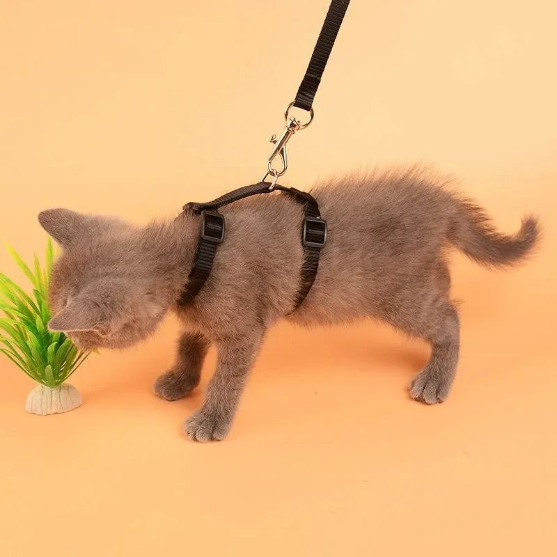 EscapeProof HShape Cat Puppy Harness Set 3