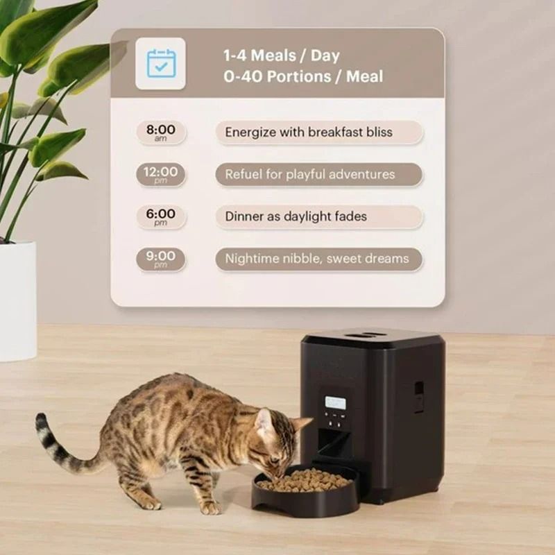 2L PushButton Automatic Smart Pet Feeder 2