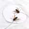 10Piece Simulated Insect Feather Replacement Set 1