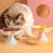 FlowerInspired Elevated Ceramic Pet Bowl 3