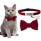 Customizable Engraved Cat Bow Tie ID Collar Set 10