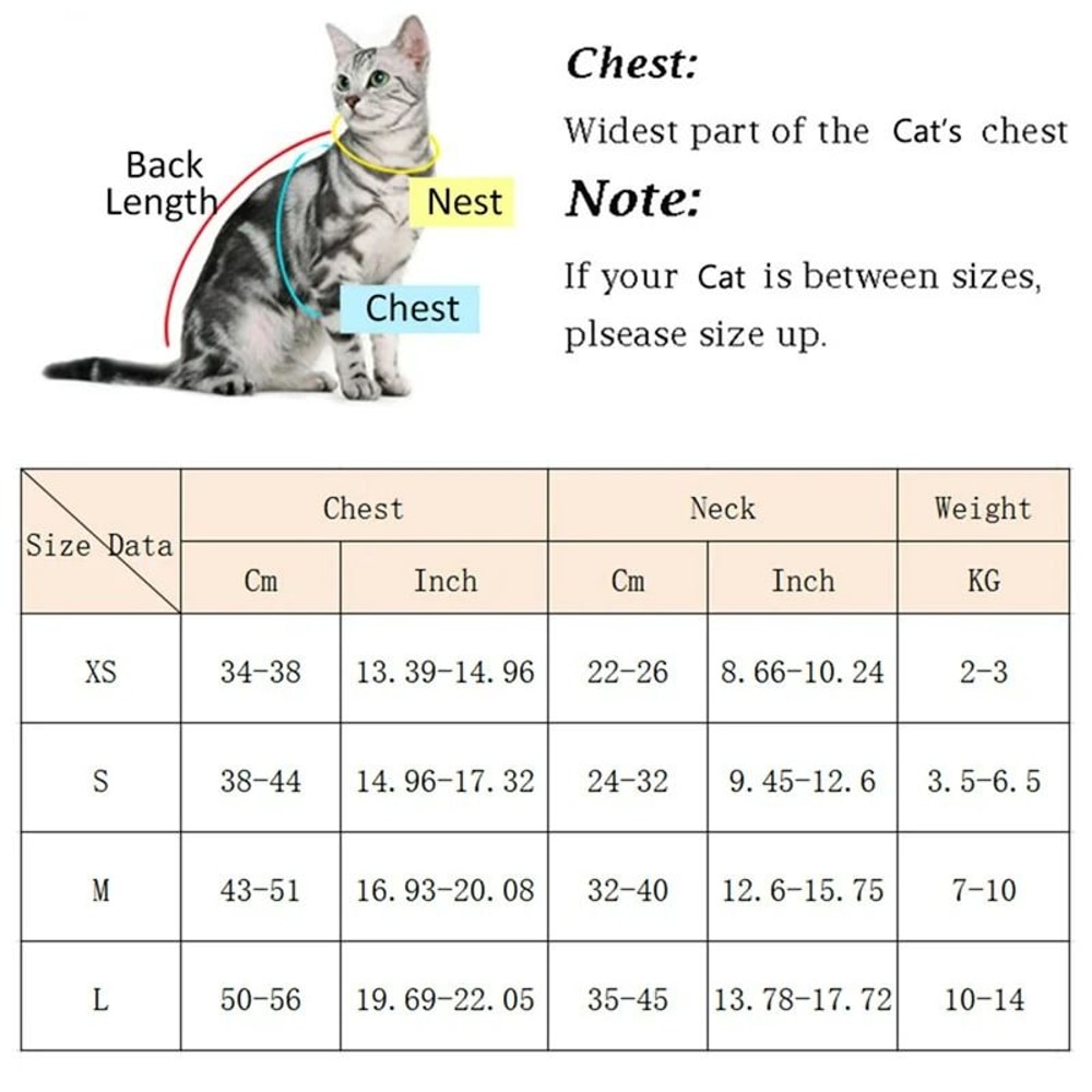 Breathable Fashion Mesh Cat Puppy Harness Set 1