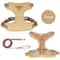 Breathable Fashion Mesh Cat Puppy Harness Set 2