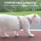 Breathable Fashion Mesh Cat Puppy Harness Set 3