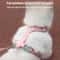 Breathable Fashion Mesh Cat Puppy Harness Set 4