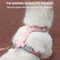 Breathable Fashion Mesh Cat Puppy Harness Set 4
