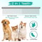 5in1 Professional Safety Tip Pet Grooming Scissors Set 5