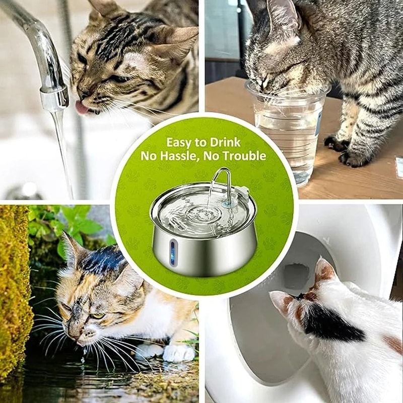 4L Stainless Steel UltraQuiet Automatic Pet Fountain 6