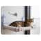 Plush Faux Fur Window Hammock For SunLoving Cats 2