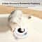2in1 Smart Automatic Feather And Ball Toy Set 1