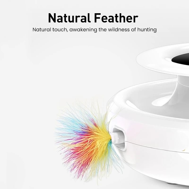 2in1 Smart Automatic Feather And Ball Toy Set 5