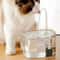 CrystalClear Smart Recirculating Pet Fountain 0