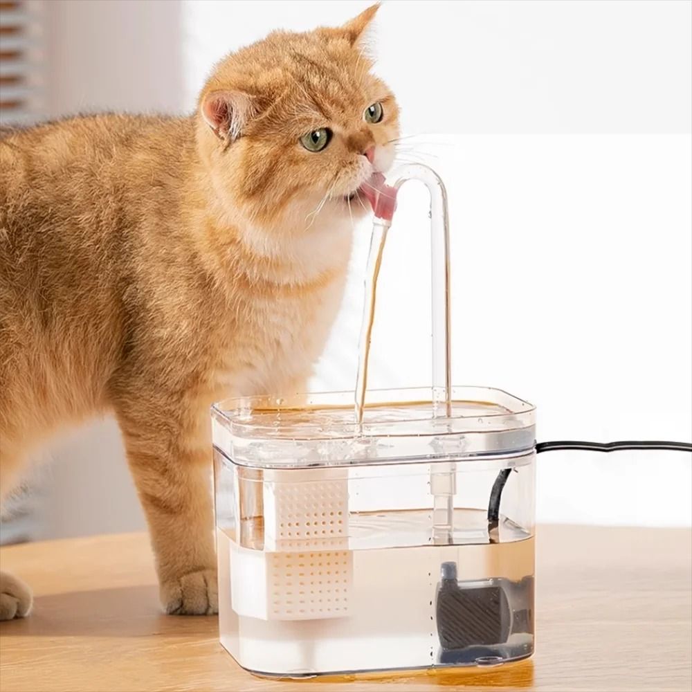 CrystalClear Smart Recirculating Pet Fountain 3