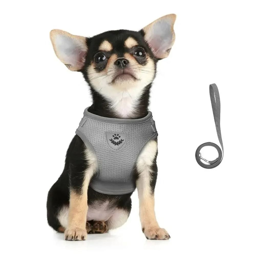 EscapeProof Reflective Soft Mesh Pet Harness Set 5