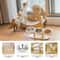 Orthopedic 3in1 Triple Pet Feeder With Solid Wood Stand 4