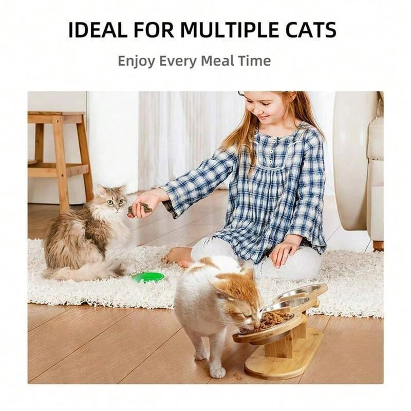 Orthopedic 3in1 Triple Pet Feeder With Solid Wood Stand 6