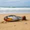MotionActivated Wagging Tail Simulation Fish 2