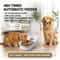 Single Tray Timed Wet Food Feeder With Cooling Chamber 1