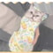 MultiFunctional Pet Restraint Grooming Wrap 3