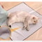 MultiFunctional Pet Restraint Grooming Wrap 4