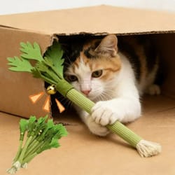interactive catnip molar stick & dental chew toy