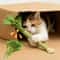 Interactive Catnip Molar Stick Dental Chew Toy 1