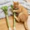 Interactive Catnip Molar Stick Dental Chew Toy 2